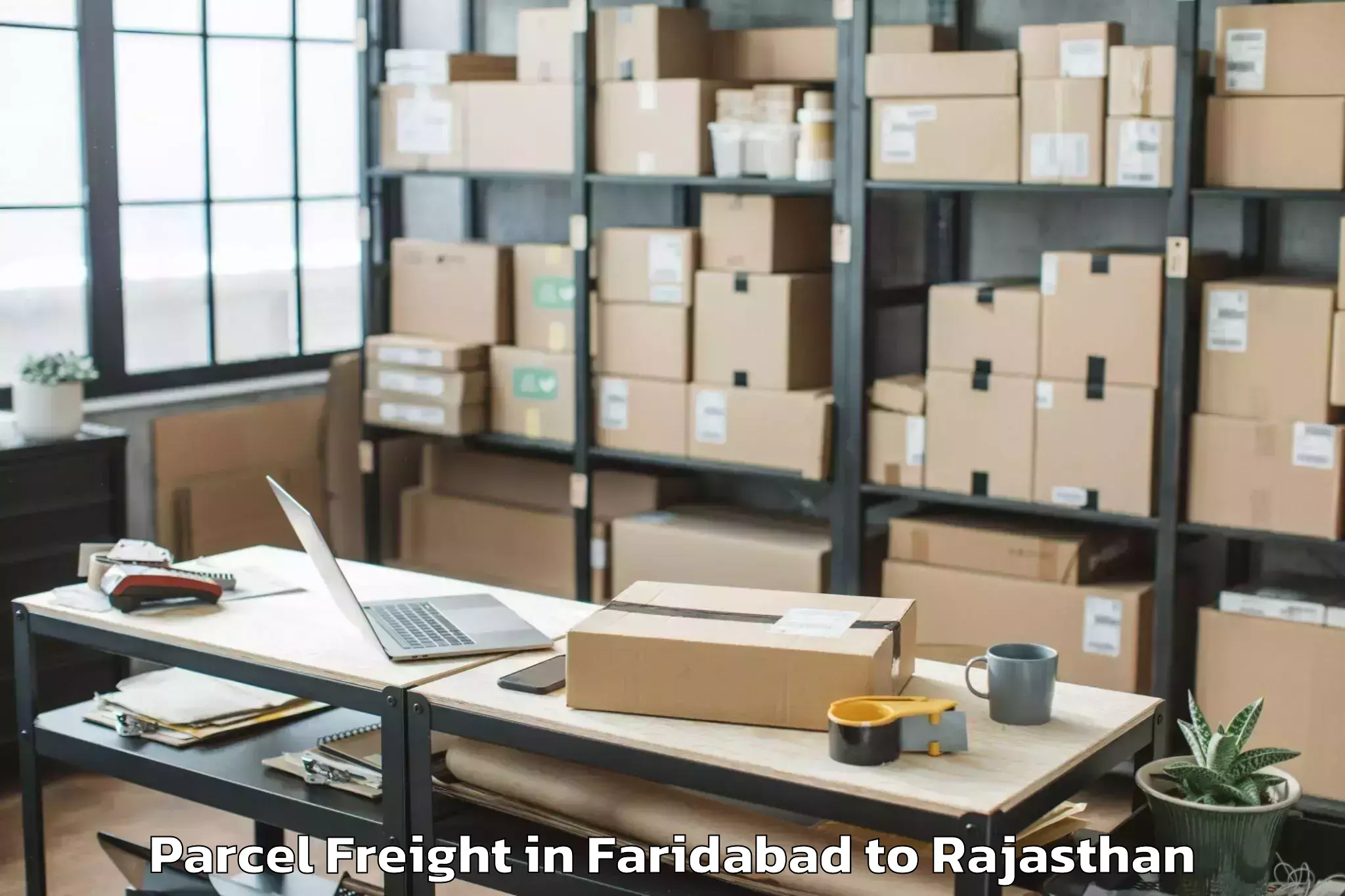 Expert Faridabad to Bhindar Parcel Freight